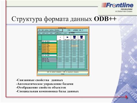 Автоматическое отображение данных