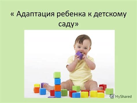 Адаптация к рабочей обстановке