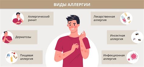 Аллергия: основные аспекты и проявления
