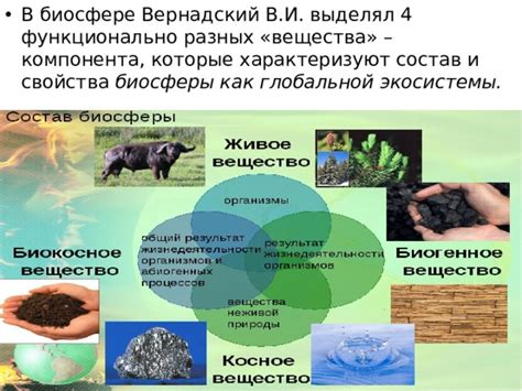 Биосфера: ключевой компонент глобальной экосистемы