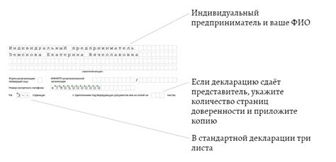 Блог готовить декларацию