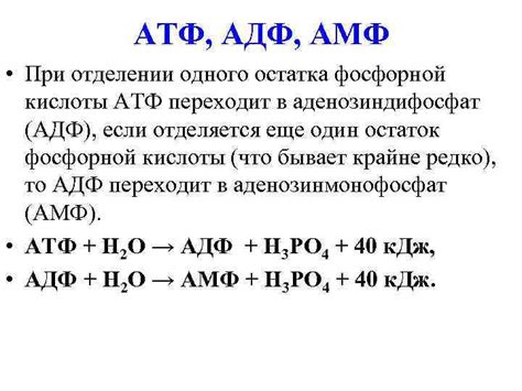 Важность остатка фосфорной кислоты