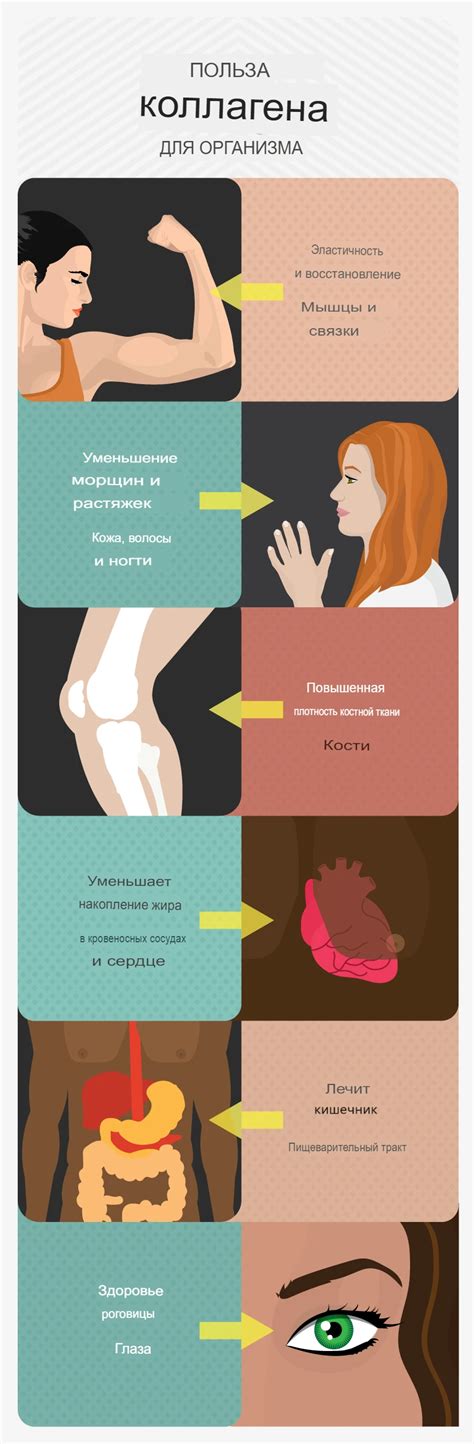 Важность показателя для организма