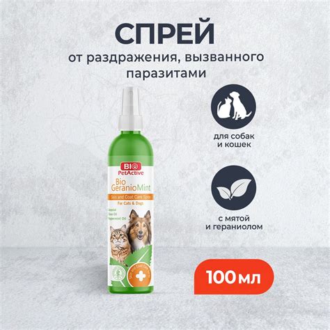 Важность правильного ухода за шерстью и кожей
