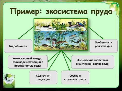 Важность цикличности и взаимосвязей в искусственных экосистемах