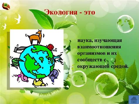 Важность экологического образования в школе