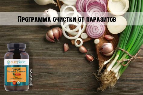Важные рекомендации после очистки организма от паразитов
