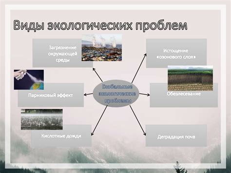 Виды экологических проблем в мире и в России