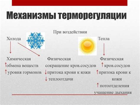 Влияние высокой температуры на пигменты