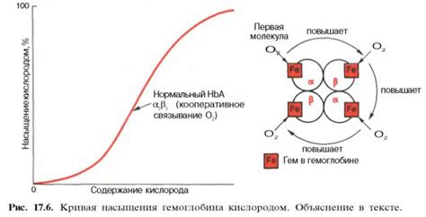 Влияние низкого насыщения кислородом на организм