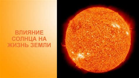 Влияние солнечных и звездных суток на жизнь на Земле