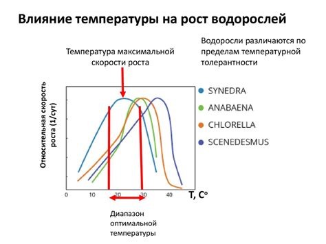 Влияние температуры на долговечность