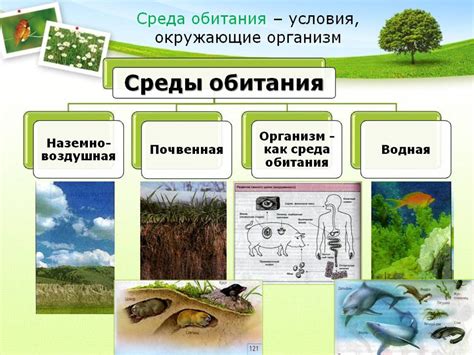 Внешние воздействия: климат и среда обитания