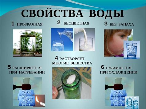 Вода как растворитель жизни