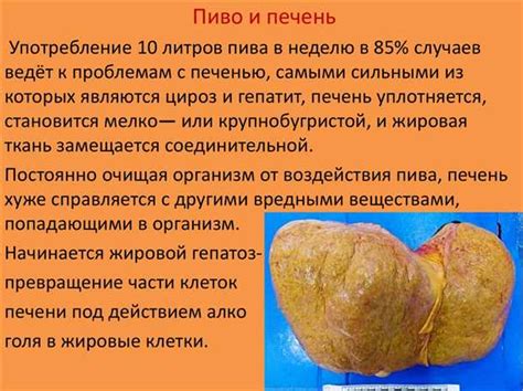 Воздействие вина на печень и почки