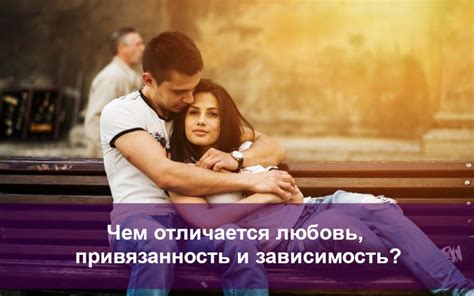 Возможность ощутить любовь и привязанность