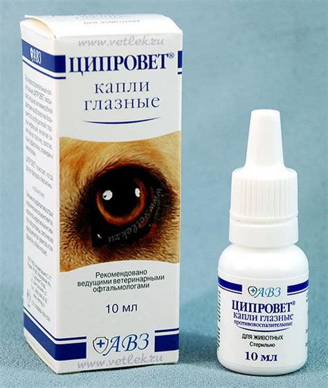 Выбор лечебных капель