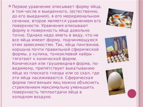Выбор правильной формы для яйца