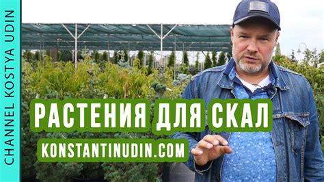 Выбор растений для посадки