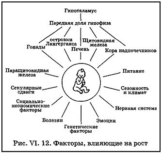 Генетические и наследственные факторы, влияющие на время полового созревания