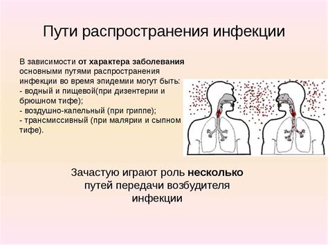 Гигиенический аспект и предотвращение инфекций