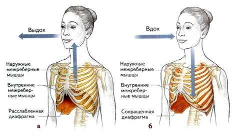 Глубокий вдох и расслабление