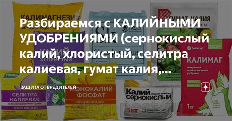 Гумат калия и сульфат калия: разница и выбор