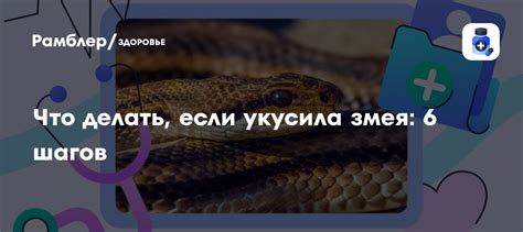 Гюрза: что делать, если вас укусила эта змея