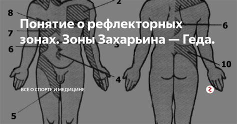 Действие на химорецепторные зоны