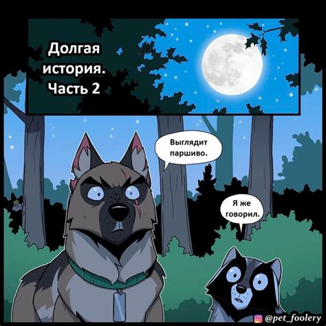 Долгая история взаимопонимания