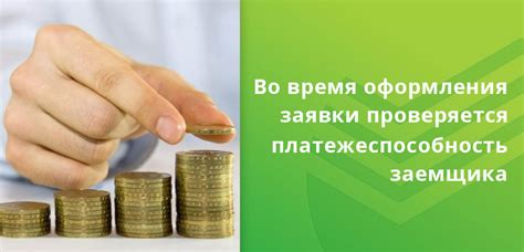 Доход и занятость заемщика