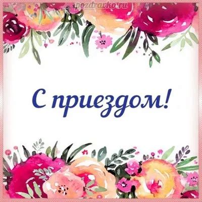 Заинтересовался приездом