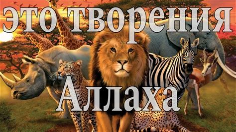Запрещение изменения творения Аллаха