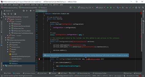 Запуск установочного процесса Rider JetBrains