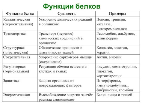 Защитные функции белка