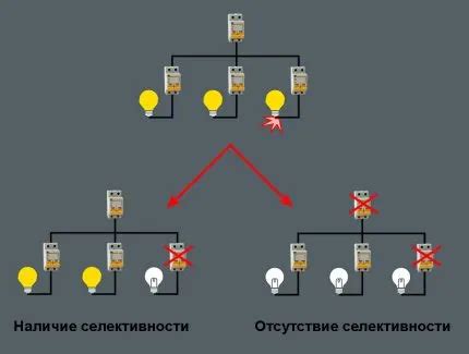Значение группы селективности в маркировке