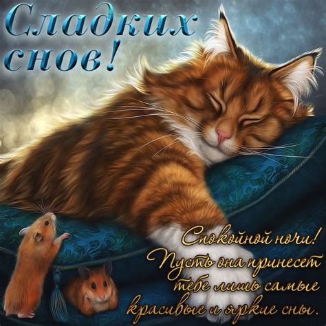 Значение снов с кошкой