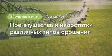 Изучение различных типов бамперов