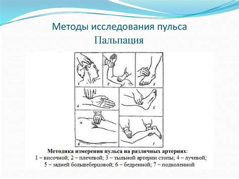 Индивидуальный подход к коррекции пульса и его значимость