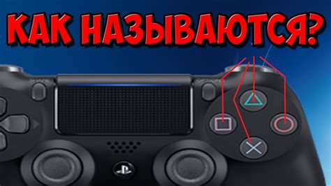 Инструкция по проверке оригинальности геймпада DualShock 4