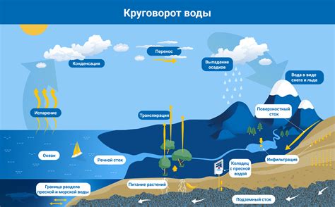 Исследование мировых вод и круизы