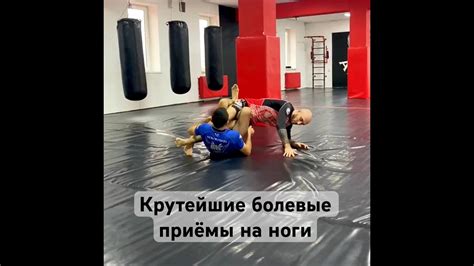 История грепплинга