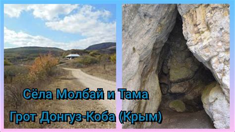 История и развитие грота