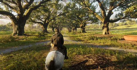 Каймановые черепахи в Red Dead Redemption 2