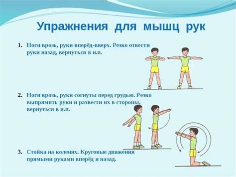 Какие упражнения включаются