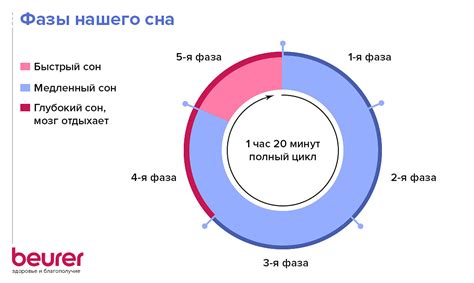 Как влияет фаза сна на количество снов
