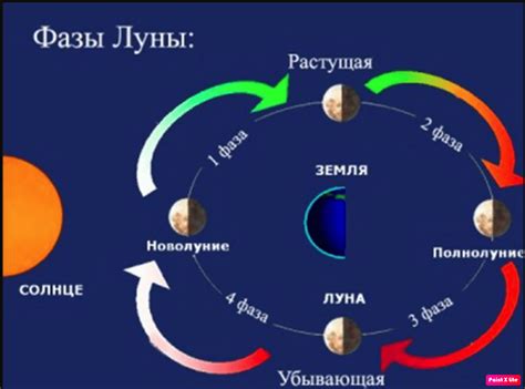 Как влияют фазы луны на улов