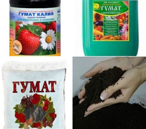 Как гумат натрия влияет на растения и почву