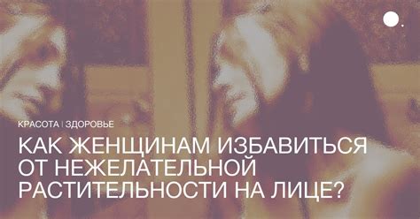 Как избавиться от нежелательной вязки у собаки