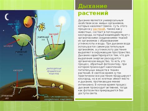 Как кислород взаимодействует с организмом